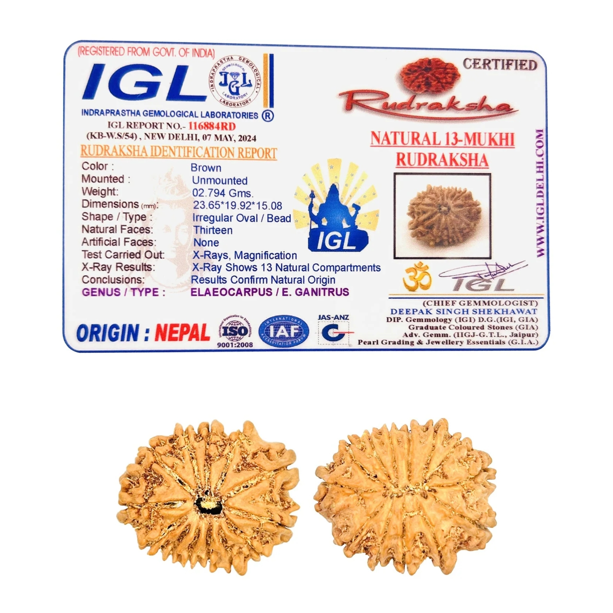 Buy Original 13 Mukhi Rudraksha Nepali Online - Image 2